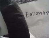 Endowedbbc
